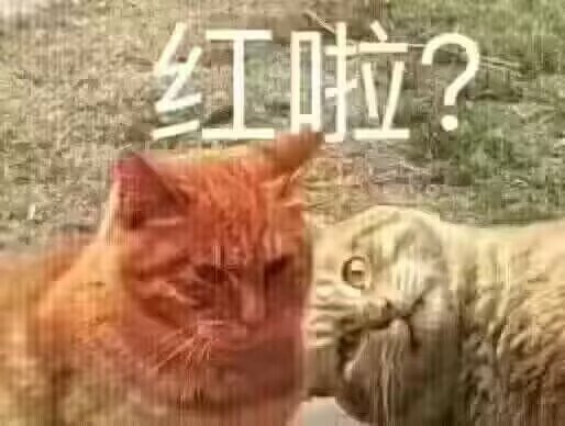 团战说我的奶没有两颗金秋铃铛让我打野1