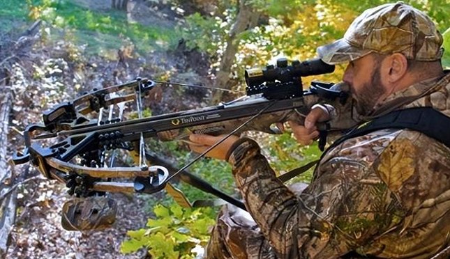 【杂谈】传世强攻弩——帕伊卡系列背景一览5