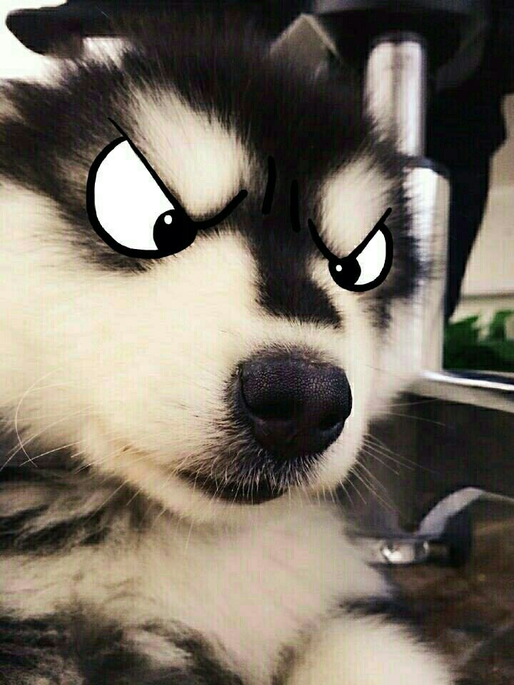 开个贴 21次 大深渊 战果1