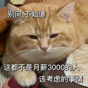 这次好像没见有人发👮套的？1