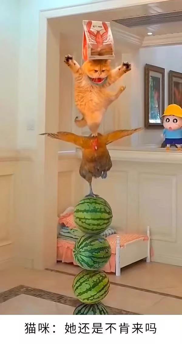 这图是啥意思？ 我没看懂1