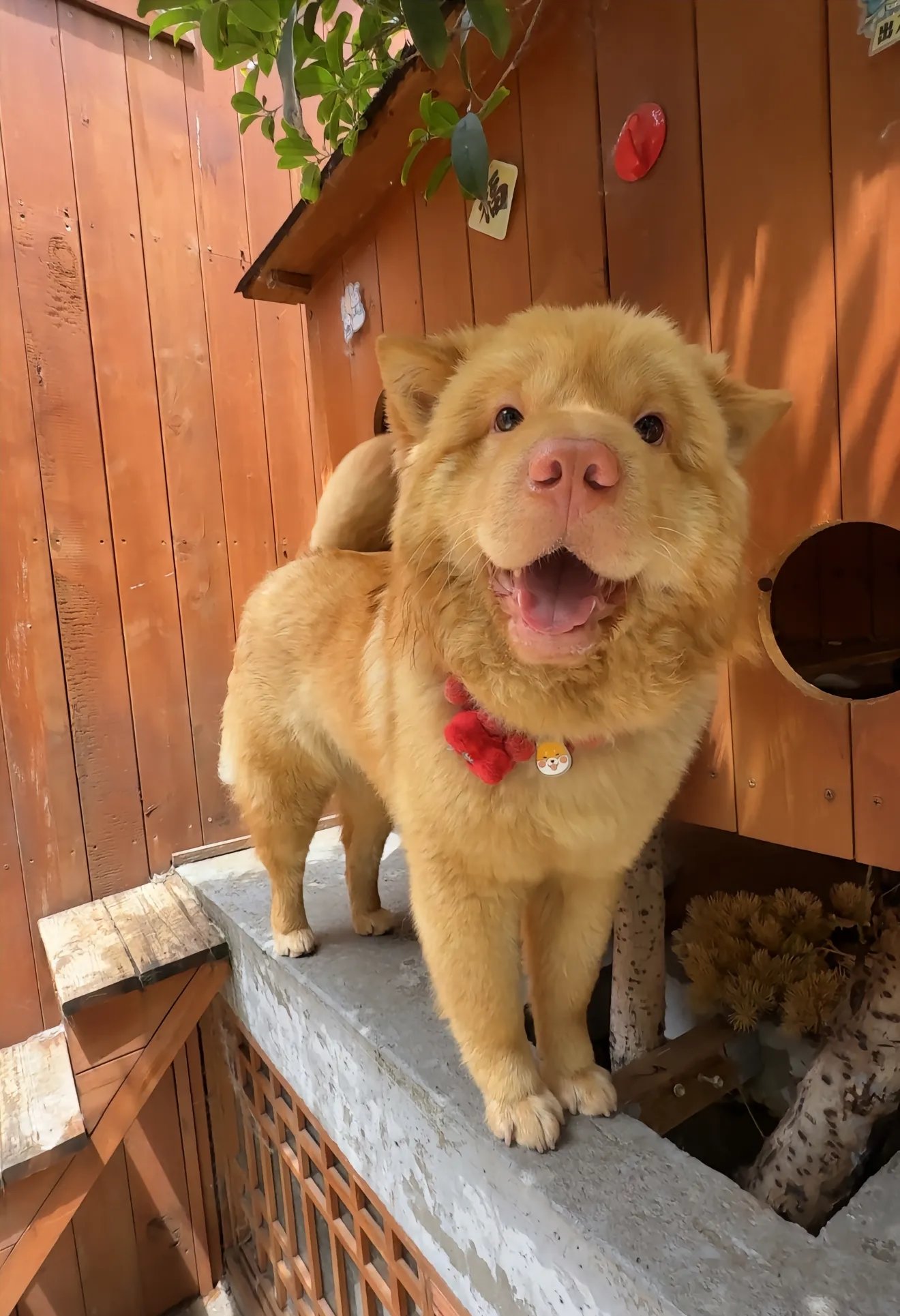 【AI漫画】小米小米可爱捏1