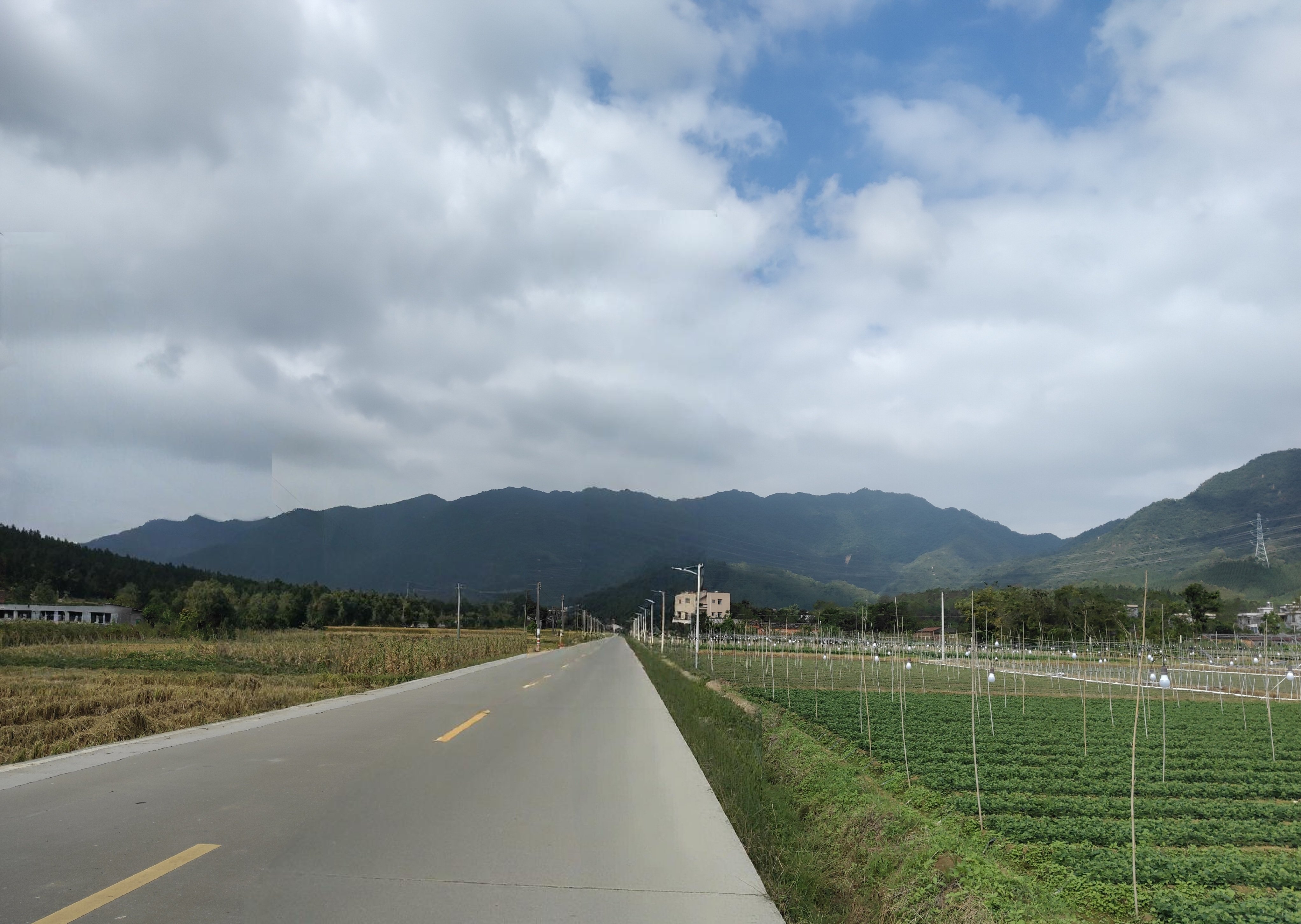 光不救世，暗非毁灭。这是一个努力，却得到死亡的故事。1