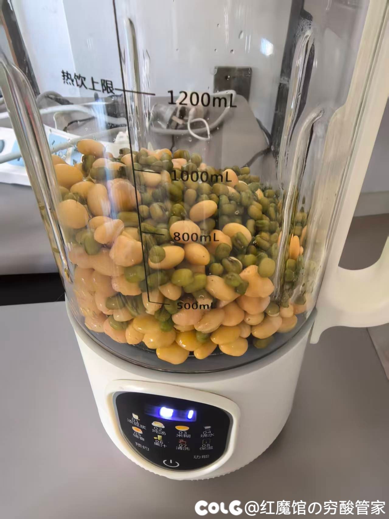 哈基米南北绿豆～1