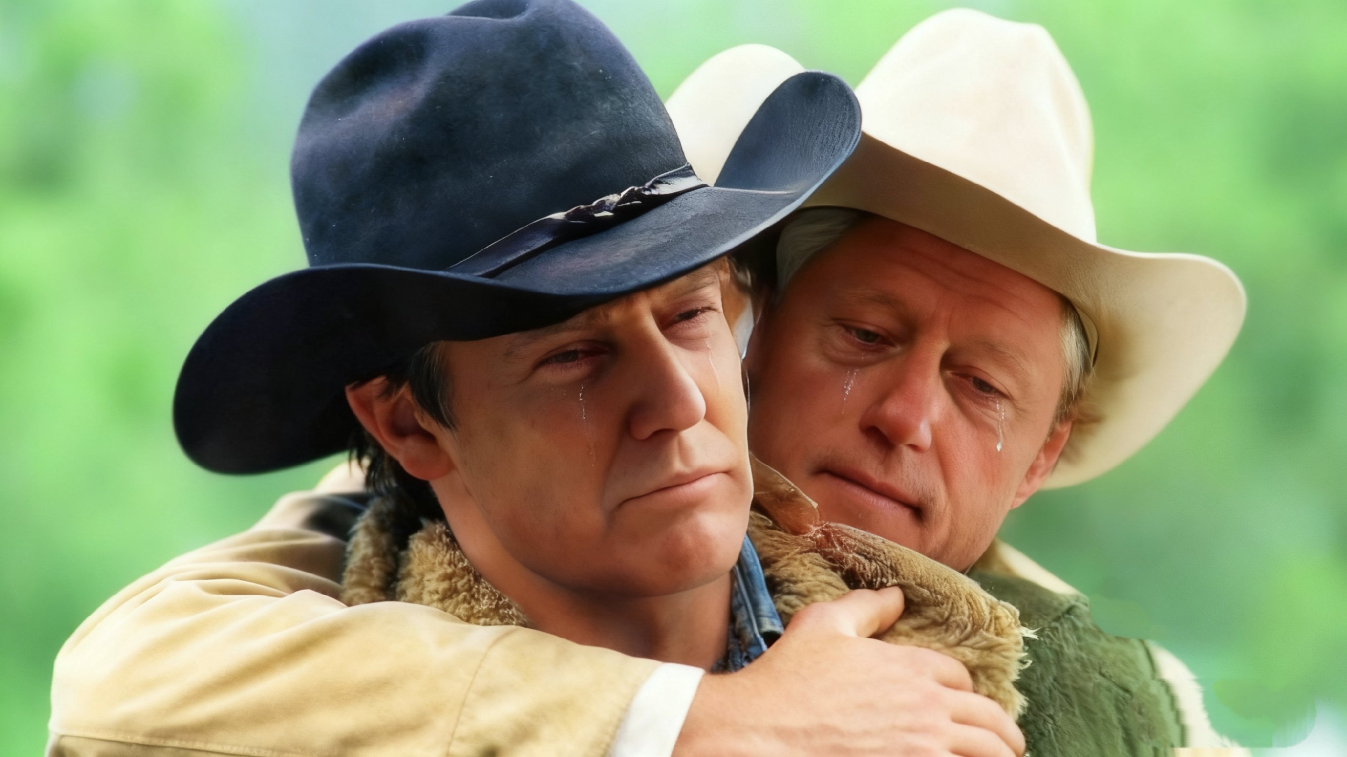 想放这图当池塘窗帘1