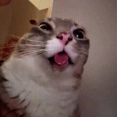 【分享】关于奶装备通宝的一些陷阱3