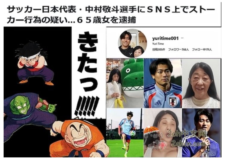 【转】日本女人在全世界胡作非为2