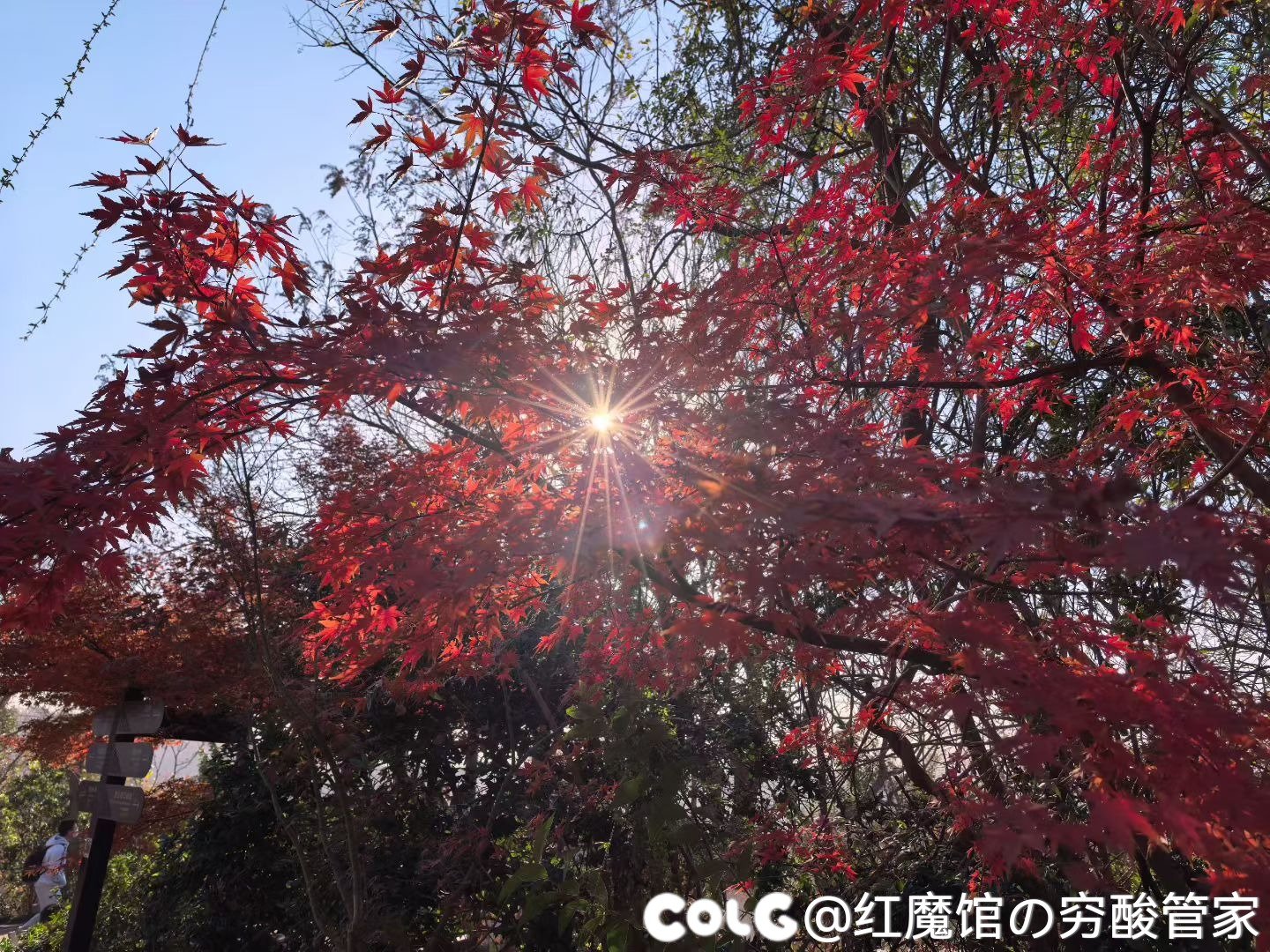 累die，逛完回家(多图杀猫)3