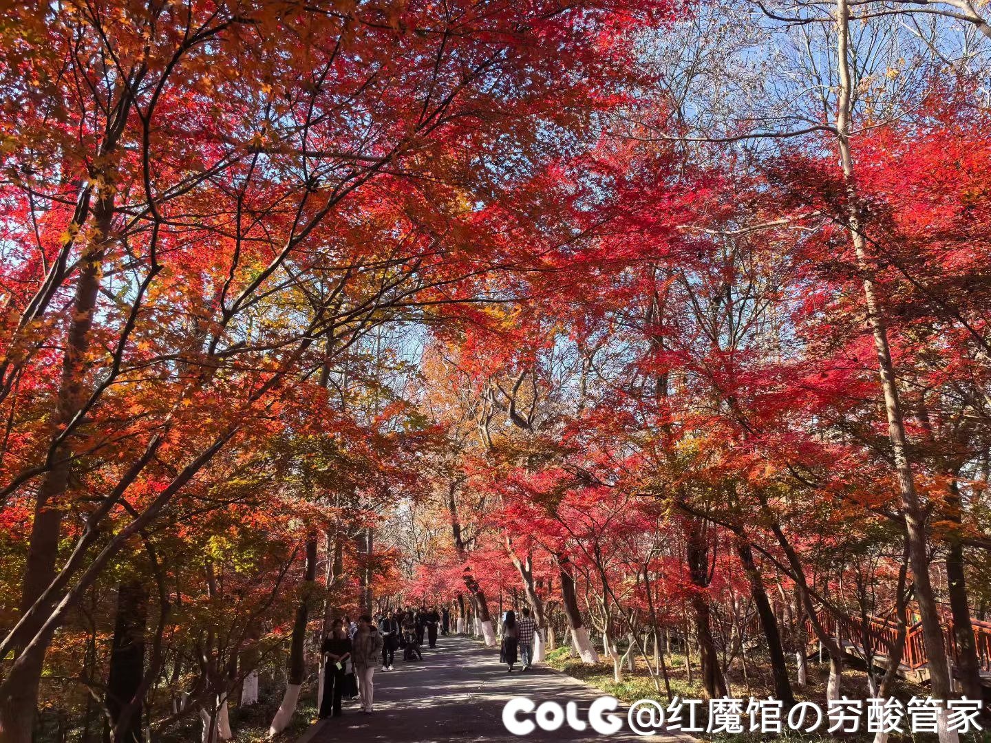 累die，逛完回家(多图杀猫)5