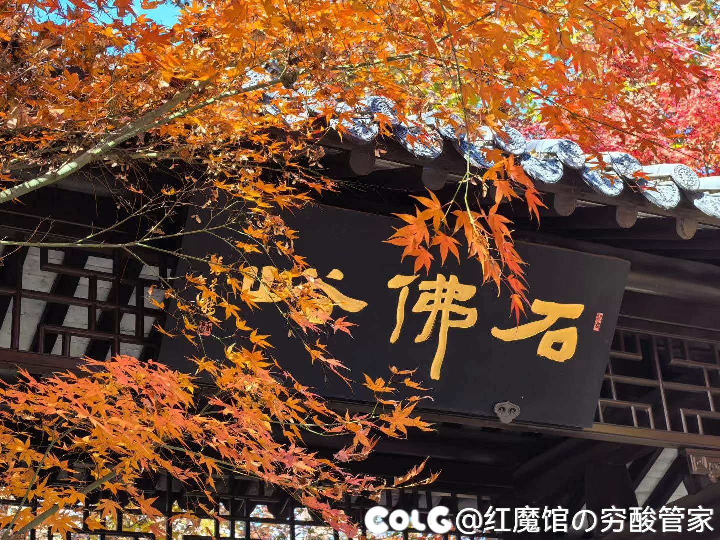 累die，逛完回家(多图杀猫)6