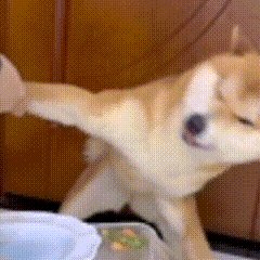 【舰B】提督等级终于升级了2