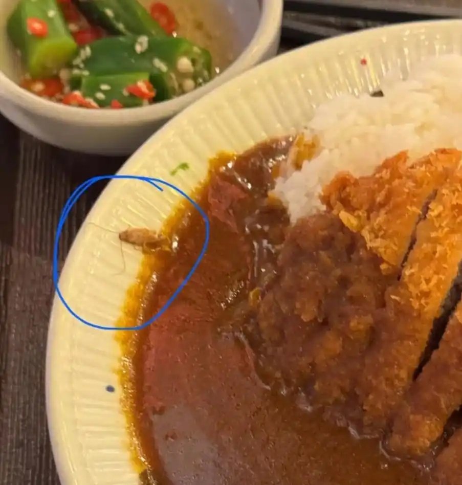 现在食品卫生真的堪忧，离开广东的小强果然都不够强壮了2