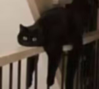 【十二月投稿】装备魔法书改冰雪传令使宠物2