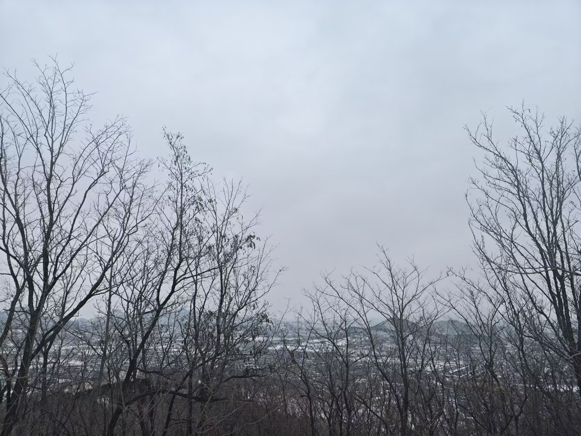 给各位南方坛友看看东北的雪景3