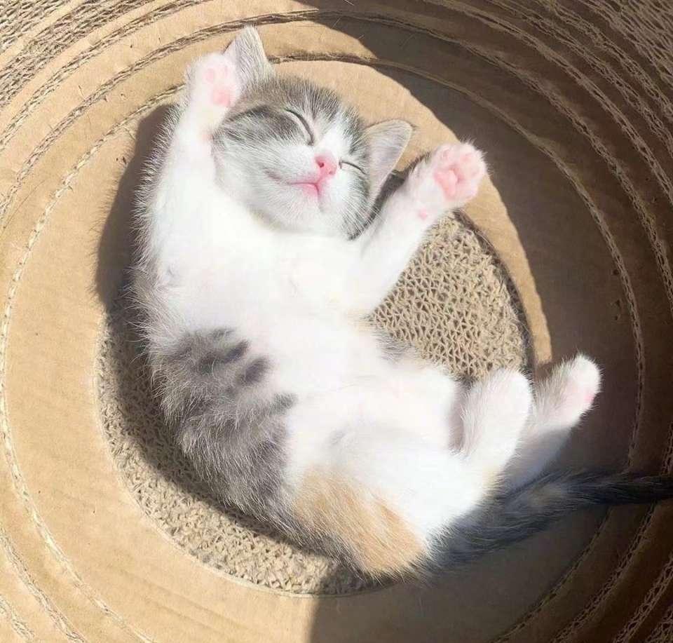 小技巧：传送门设置，普通频道找狄瑞吉团本NPC12