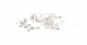 【一月征稿】【Laishutia】全职业改兔女郎 一觉 二觉 BUFF 5款4