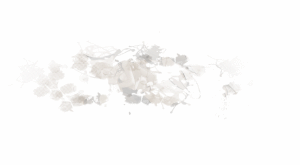 【一月征稿】【Laishutia】全职业改兔女郎 一觉 二觉 BUFF 5款7