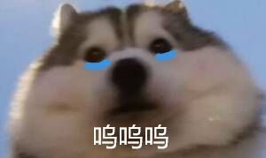 计算器可以一键导入打造啦1